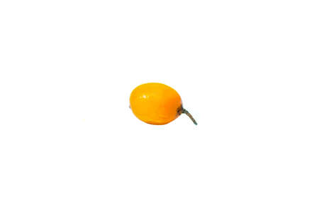 sea ââbuckthorn on a white background. Useful berryの写真素材