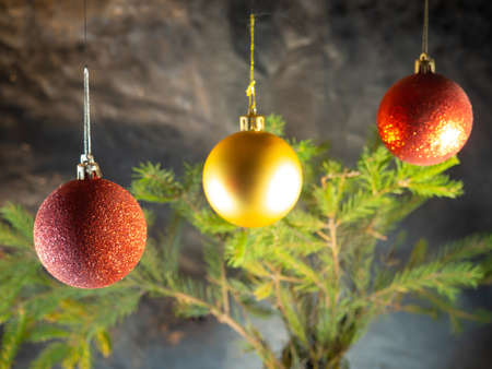 golden Christmas ball on the background of fir branches. Christmas decorationの写真素材