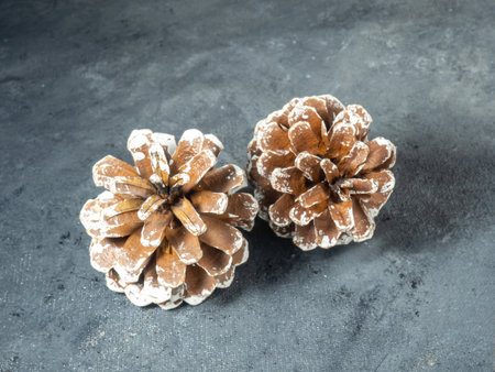 the pine cone lies on a gray background. Snow, forest, christmas decoration, new yearの写真素材