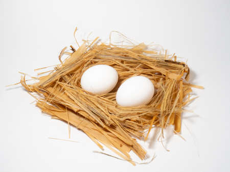 Chicken egg lies in strawの写真素材
