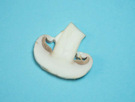 a slice of champignons on a blue backgroundの写真素材