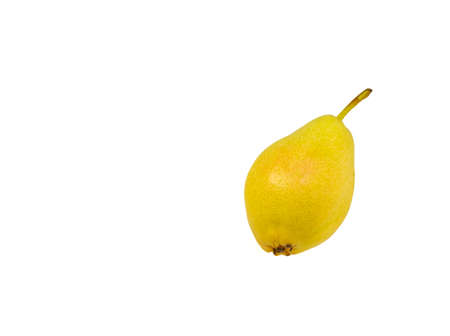 Yellow pear. Variety - Santa Maria. Freshの写真素材