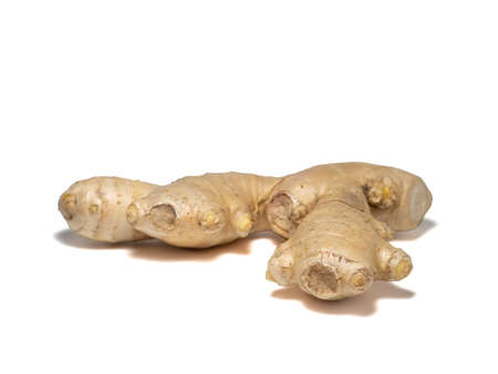 Ginger root. Ginger. Useful product. Isolatedの写真素材