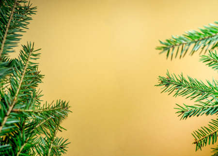 New Year's card. Fir branches on a beige background.の写真素材