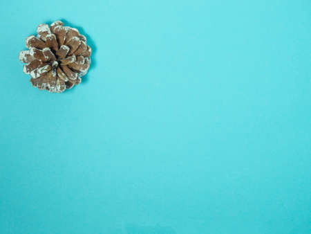 New Year card. Christmas card on blue background.  Decorations for the holiday. Spruce conesの写真素材