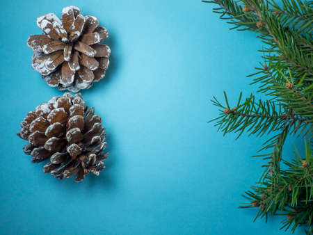 New Year card. Christmas card on blue background. Fir branches. Decorations for the holiday. Spruce conesの写真素材