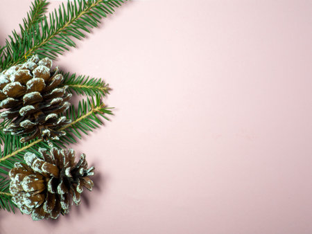 New Year card. Christmas card on a pink background. Decorations for the holiday.
 Fir cone on the brabchの写真素材