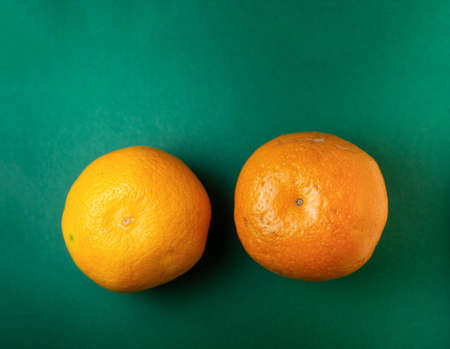 Two ripe tangerines on a green background. Whole juicy fruits.の写真素材