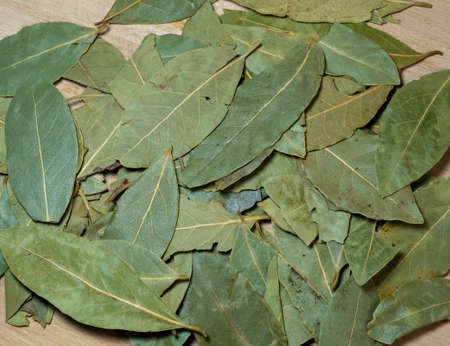 Bay leaves on the table. Background from laurel flax. Aromatic seasoningの写真素材