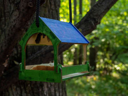 Bird feeder in the forest in the form of a house. Ornithology.の写真素材