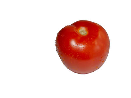 Tomato on a white background. Tomato in water droplets.の写真素材