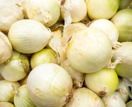 Lots of white onions. Vegetables in the box. Spicy vegetables in the store.の写真素材