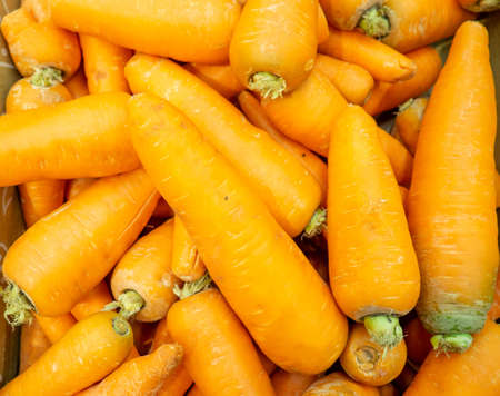Washed juicy carrots. Beautiful carrots on the counter of the store. Root vegetables backgroundの写真素材