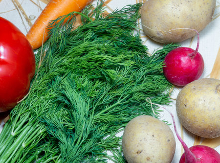 Still life of vegetables. Healthy food. Harvest from the garden. Farmer.