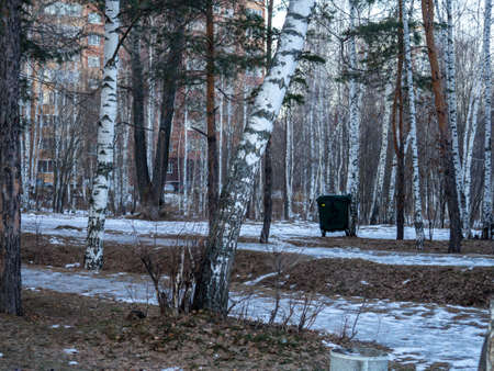 trash can in the forest. Park on the outskirts of the city. Natureの写真素材