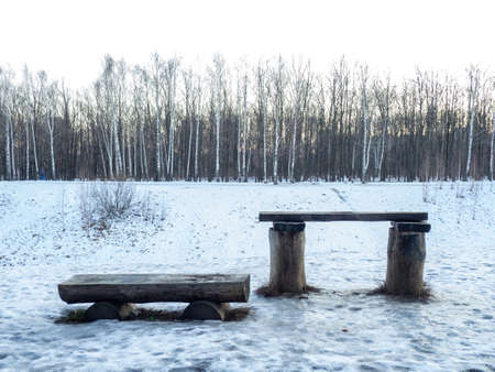 Bench and table made of logs. Environmentally friendly. Woodenの写真素材