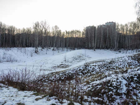 A birch grove and high-rise buildings shine through the trees. Sunset over the outskirts of the city in winterの写真素材