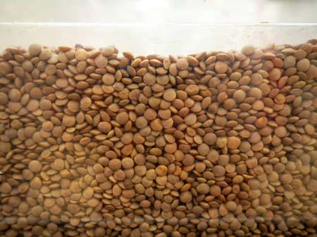 Red lentils. Grains background. In the store on the showcase. Healthy foodの写真素材