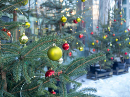 Christmas tree at the store. New Year's decoration on the street. Holiday atmosphereの写真素材