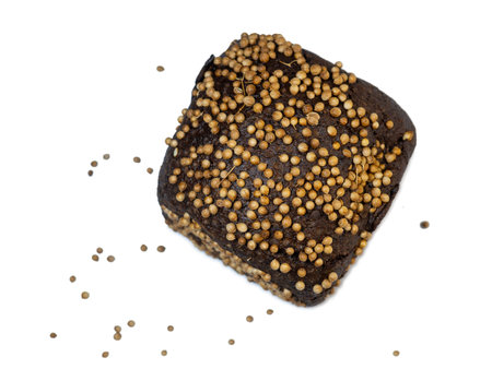 Black bread sprinkled with coriander. Borodino bread. Flour product. Bread with spices on white backgroundの写真素材