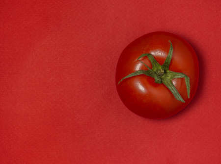 Tomato on colored paper. Greenhouse tomato on a red background. Bright vegetable background.の写真素材