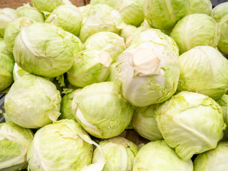 vegetable shop. Healthy foods. Cabbage on the counter. Showcase of vegetables. Sale of cabbage.の写真素材