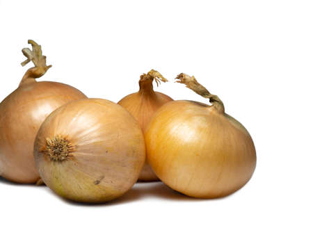Onion on a white background. root isolate. fresh vegetables. Spices for the kitchen.の写真素材