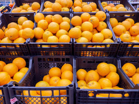 Different oranges on the store counter. Trade in fresh fruits. Juicy orange. A lot of bright fruits in the supermarket.の写真素材