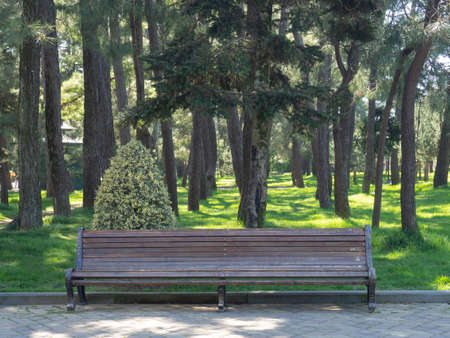 Empty bench in the park. park area. Silence in the resort. Empty seat. no peopleの写真素材