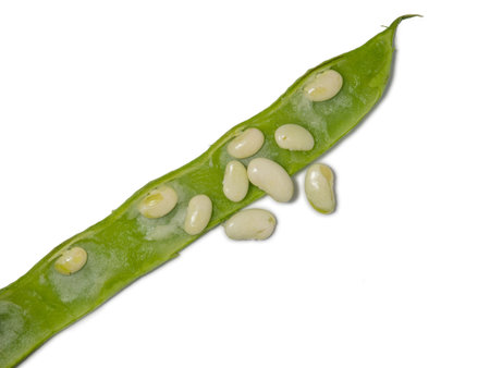 Pods of green beans on a white background. open bean pods. beans. healthy diet