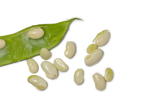 Pods of green beans on a white background. open bean pods. beans. healthy diet. Harvest from the garden. Cooking. Vegetarian foodの写真素材