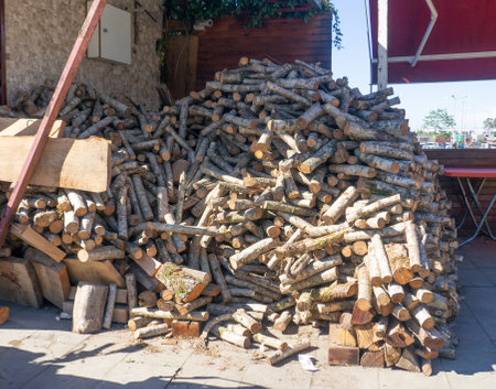 Mountain of firewood in the village. Chopped not thick tree trunks. Stocks for kindling a bath. Lots of woodの写真素材