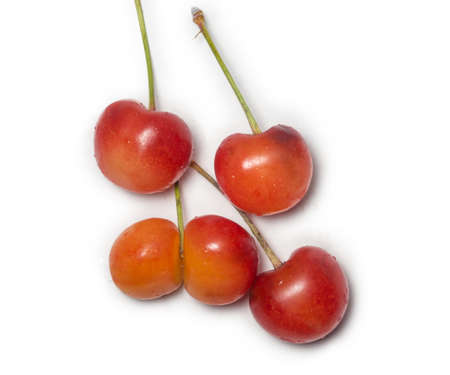 red cherry. Ingredient for jam. Stemberry isolate. Several berries are on the table. Berry from the bush. Harvestの写真素材