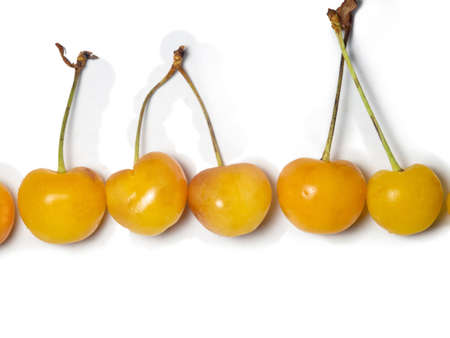 yellow cherry. Ingredient for jam. Multi-colored cherries with stems are beautifully laid out on a white background. Stemberry isolate. Several berries are on the table. Berry from the bush. different varieties. Harvestの写真素材
