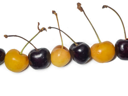 Black and yellow cherry. Ingredient for jam. Multi-colored cherries with stems are beautifully laid out on a white background. Stemberry isolate. Several berries are on the table. Berry from the bush. different varieties. Harvestの写真素材