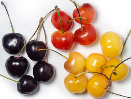 Cherries of different varieties. Cherry with a stem on a white background. natural berries on the table. harvest. compote ingredient.の写真素材