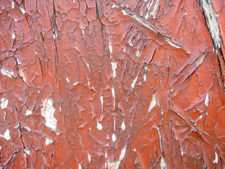 Chipboard in red paint. Background from a painted board. pattern. wooden background. compressed chips. old shabby wall. peeling paintの写真素材