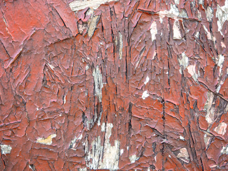 Chipboard in red paint. Background from a painted board. pattern. wooden background. compressed chips. old shabby wall. peeling paintの写真素材
