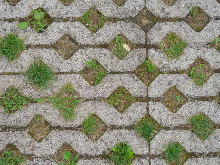 Grass grows through paving slabs. Pattern from the flooring. Bridge. old tile masonryの写真素材