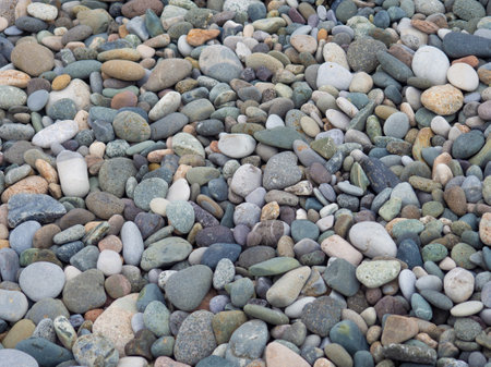 Large beach pebble. Background of small stones. Gray background from stones. pattern. hard materialの写真素材