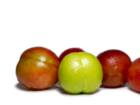 Plums for tkemali sauce. Several cherry plum fruits of varying degrees of ripeness. Plum variety. Juicy fruit. healthy diet. Veganの写真素材