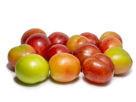 Plums for tkemali sauce. Several cherry plum fruits of varying degrees of ripeness. Plum variety. Juicy fruit. healthy diet. Veganの写真素材