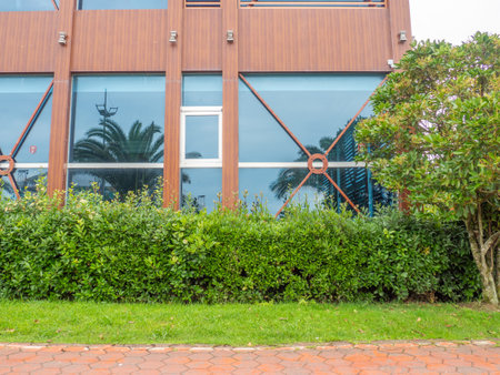 Landscaping. Trimmed bushes against the background of the facade of a modern house. beautiful wall. garden. back yard.の写真素材