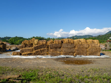 Sale of feed for livestock. hay blocks. Lots of Hay. horse feed warehouse. Farm Animal Careの写真素材