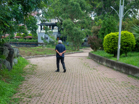 A man walks along the alley in the park with his hands clasped behind his back. Rest in the park. Lonely man.の写真素材
