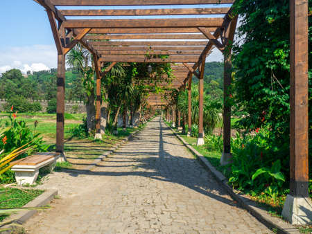 Decorative tunnel made of wooden beams. park decor. Alley for walking. beautiful placeの写真素材