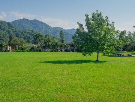 Lawn in the walls of the castle. Remains of an old castle. Ancient fortifications made of stone. Museum in the open air. Wall of a medieval castle. Background from ancient stonework. ruinの写真素材