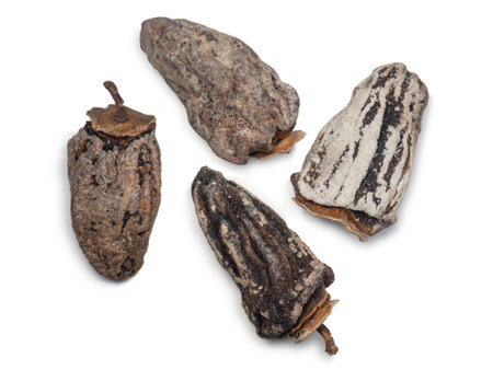 Dried persimmon on a white background. Dried fruits of the tree. Dried fruits isolate. pattern. Healthy food concept. Dieting. Place for an inscriptionの写真素材