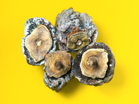 Dried persimmon on a bright background. Dried fruits of the tree. Dried fruits on a yellow background. pattern. Healthy food concept. Dietingの写真素材