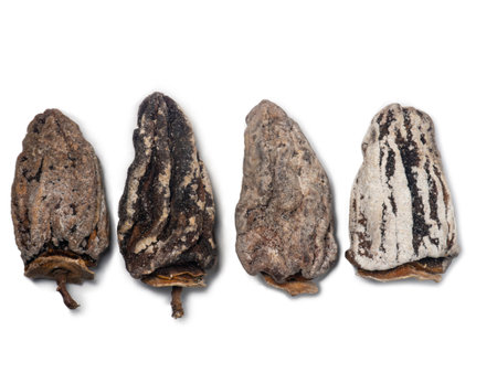 Dried persimmon on a white background. Dried fruits of the tree. Dried fruits isolate. pattern. Healthy food concept. Dieting. Place for an inscriptionの写真素材